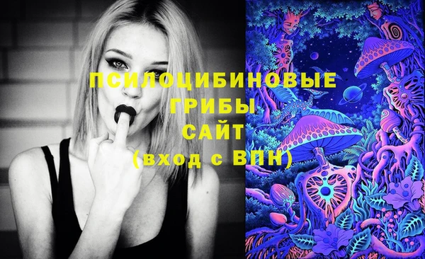 герыч Медногорск
